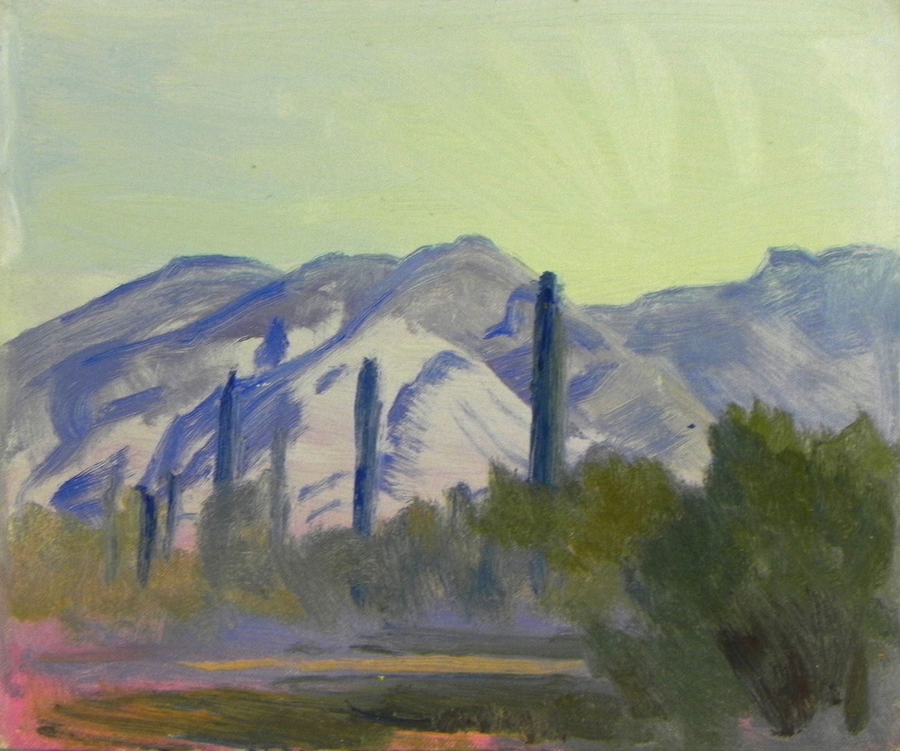 Cacti at the Edge